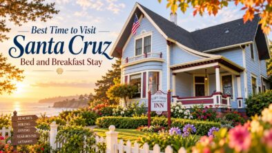 Best Time of Year to Plan a Santa Cruz Bed